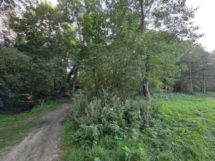 3 do wyboru, Świder, rezerwat przyrody