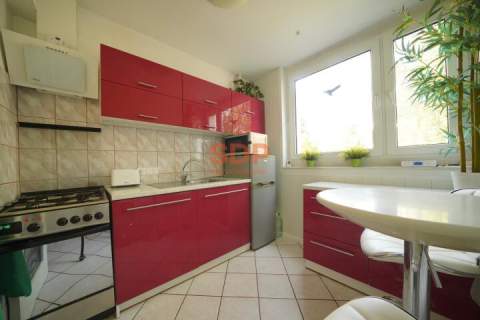 Biskupin Duży balkon Parter 2 Pokoje