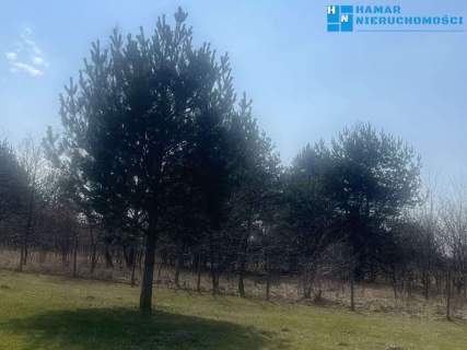Działka 1199m2 dłuższym bokiem do drogi