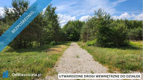 ZBOISKA K.RADZIEJOWIC - OSTATNIE DZIAŁKI BUDOWLANE PRZY LESIE,...