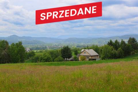 Na sprzedaż działka 79 arów- Domosławice