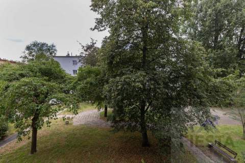 2 osobne pokoje duża widna kuchnia, AGD