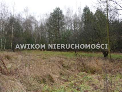 Działka rolna na sprzedaż, 15362 m2, Skierniewice