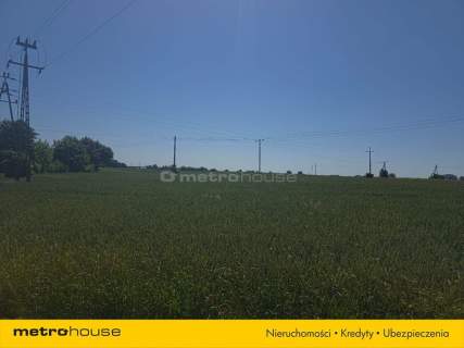 Działka budowlana 2900 m Nieżychowice