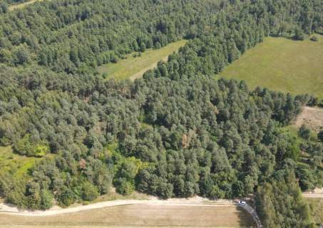 Dziecinów działka rolna 5 885 m