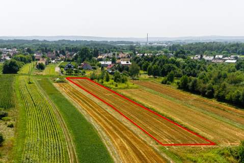 Działka budowlana Tarnów, ul. Cedrowa