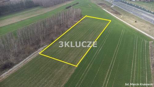 Działka budowlana 4546 m2, Dąbrowica