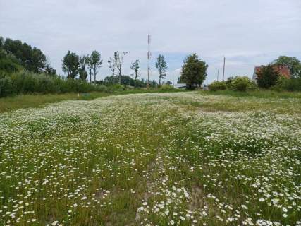 Działka inwestycyjna na sprzedaż, 3000 m2, Malbork