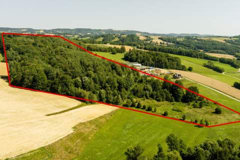 Działki o łącznej powirzchni 4,25 ha Joniny