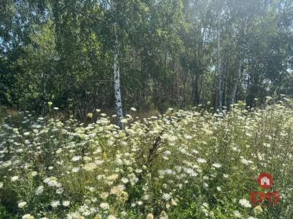 Działka W Halickie