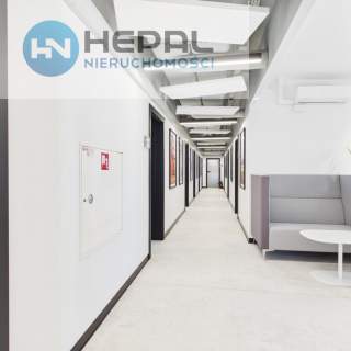 do wynajęcia lokal biurowy 246,5 m2