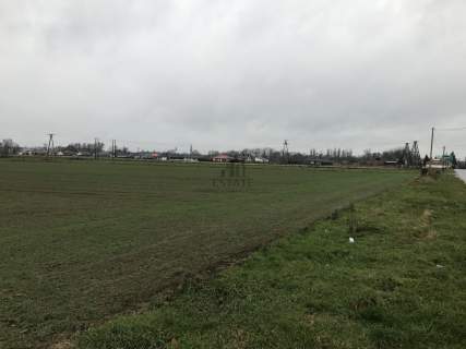 Działka inwestycyjna Sulechów Obłotne, usługi