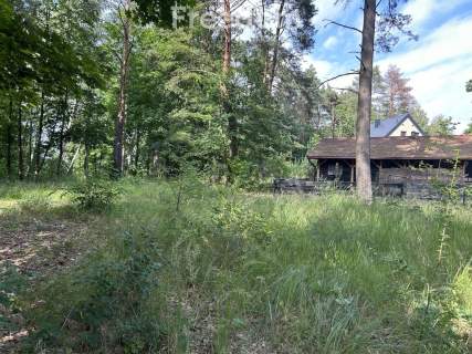 Dziaka w lesie nad jeziorem - Tuczno