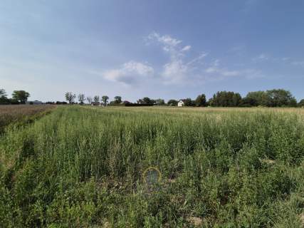 Do sprzedania działka 1246 m2