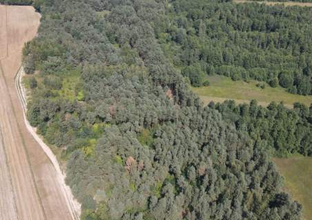 Dziecinów działka rolna 5 885 m