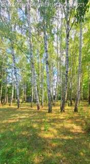 Nadarzyn, 5000 m2, MPZP,mieszkaniowa jednorodzinna