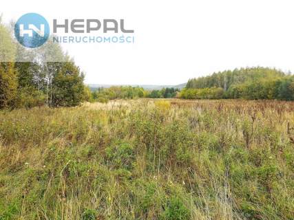 Działka Baszowice, gm Nowa Słupia
