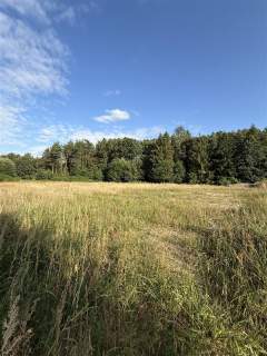 Dom - Stare Bielice Platanowe