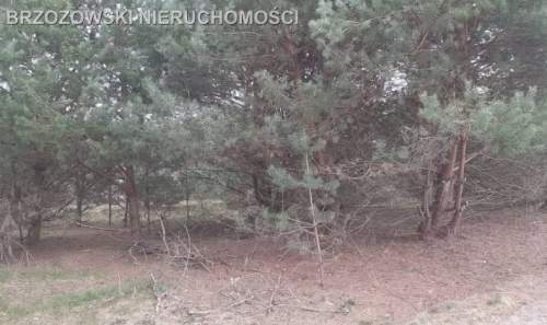 Koczargi Stare, 1068 m2, MPZP, mieszkaniowa