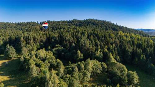 Działka leśna 20 700 m Kasina Wielka