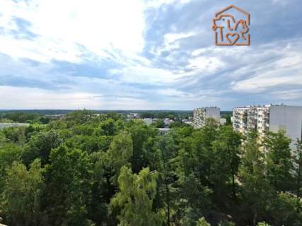 Kawalerka z balkonem, pet friendly, Rojna 52
