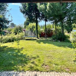 Sprzedam działkę ROD Kaczeniec Ząbki 300m2