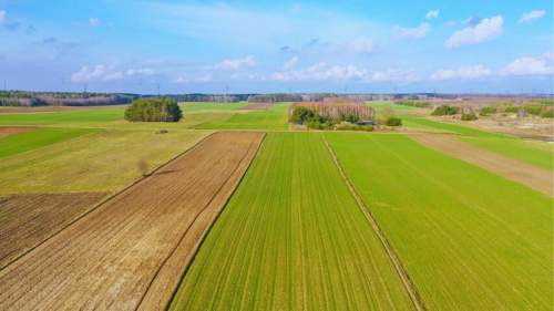 Działki budowlane w atrakcyjnej cenie blisko Łomży