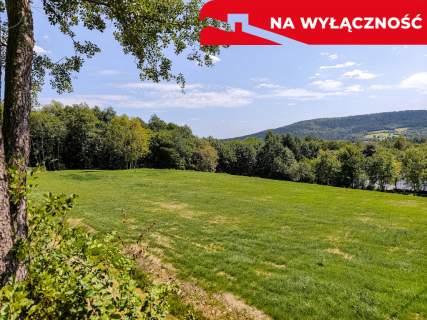 Działka 90 ar z Wz Olszowa, TANIO 