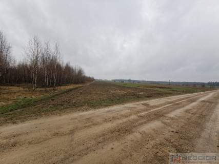 Działka na sprzedaż, 10040 m2, Gręzówka-Kolonia