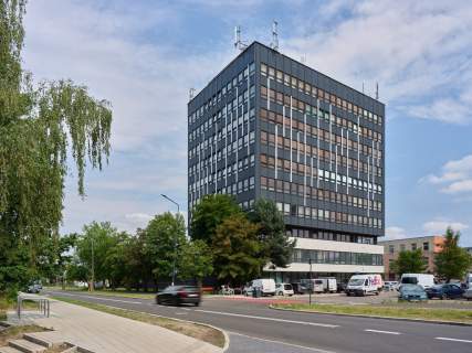 Biuro 18 m na wynajem   7. piętro Teofilów