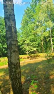 Nadarzyn, 5000 m2, MPZP,mieszkaniowa jednorodzinna
