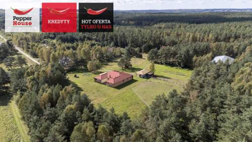 Ekologiczny bungalow w cichej okolicy