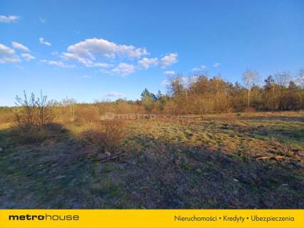 DUŻY TEREN INWESTYCYJNY 6800 m CHOSZCZÓWKA