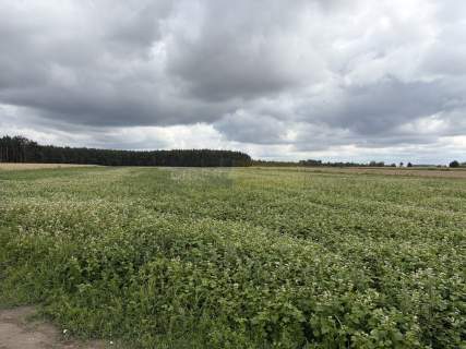 Działka rolna 1,21 ha, kształt trapezu, dojazd z g