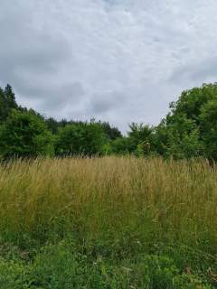 Działka budowlana Oleszno 1,04ha