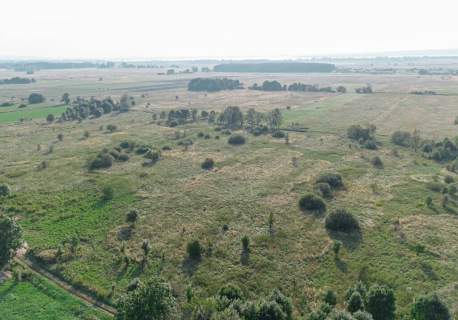 Rurzyca 1212m2,Decyzja w.z. prąd .wodociąg.