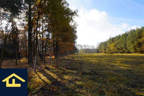 Działka z linią brzegową jeziora