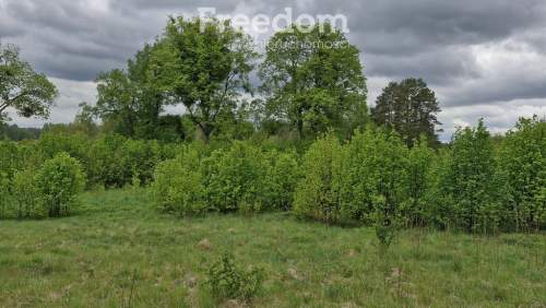 Malownicza działka 3026 m las i jezioro