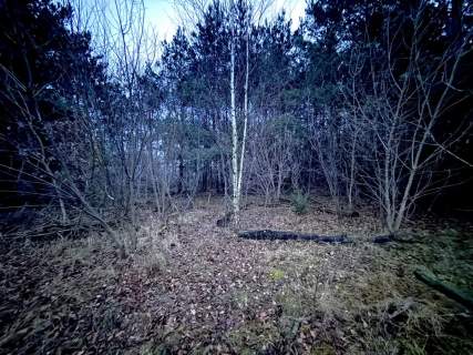 Okazja Duża działka rolna w Borkowie 9802m2