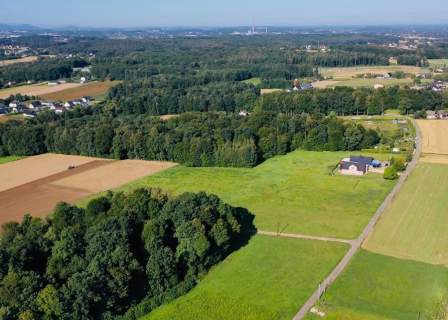 Widokowa działka budowlana w Pisarzowicach