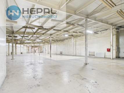 magazyn do wynajęcia - Kielce, 1115 m2