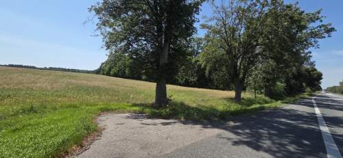 4,9 ha bezpośrednio przy DK 92, Do A2 2,5km