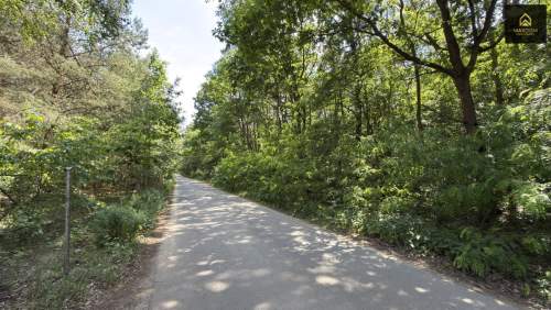Cisza natura woda prąd światłowód MPZP Kampino