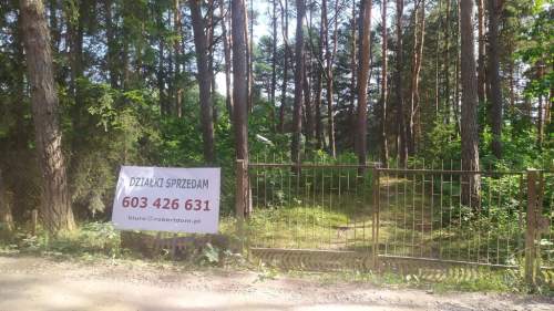 Działka w lesie.