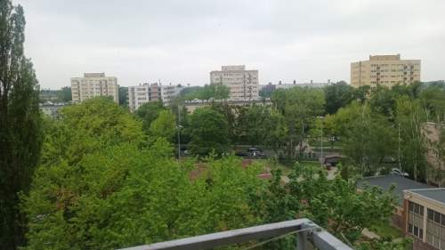 DO NEGOCJACJI, METRO MŁOCINY, LAS BIELAŃSKI