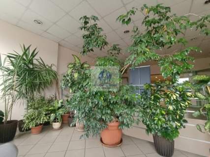 Praga Północ lokal biurowy 51,43 m2 do wynajęcia