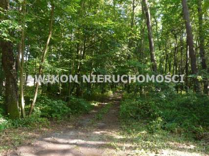 Działka budowlana na sprzedaż, 4020 m2, Olszanka