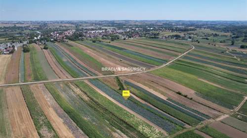 Działki rolne Proszowice