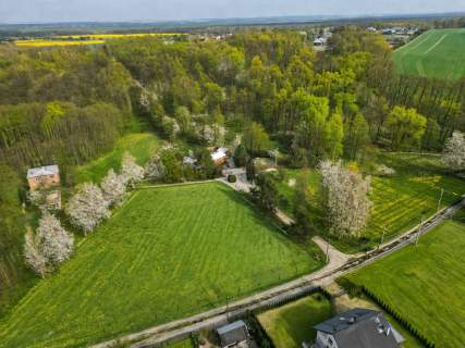 Przy lesie, jak w gorach