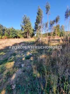 Działka budowlano - usługowa 4292m2 Kaleń